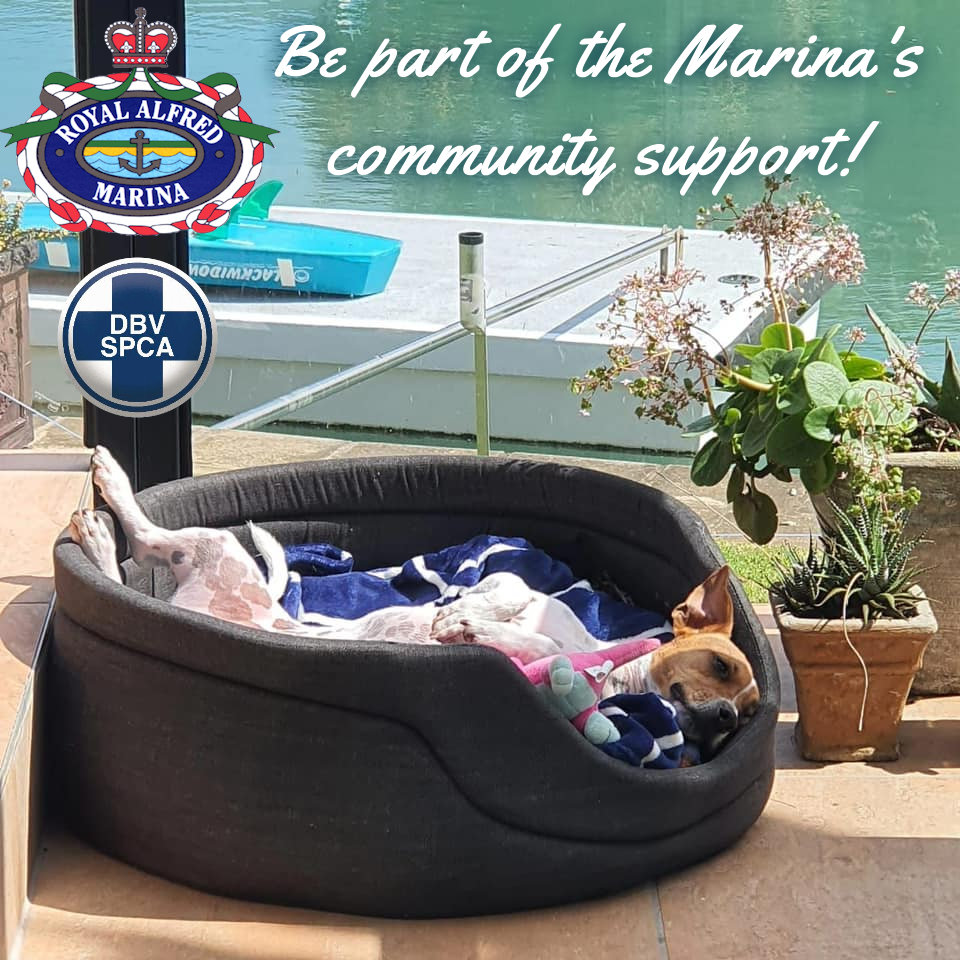 SPCA outreach